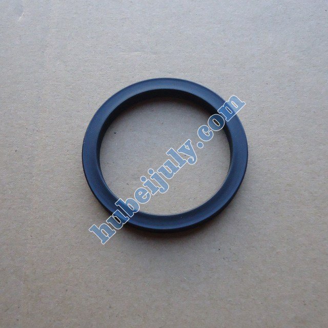 Foton Cummins seal 5269879 4990818