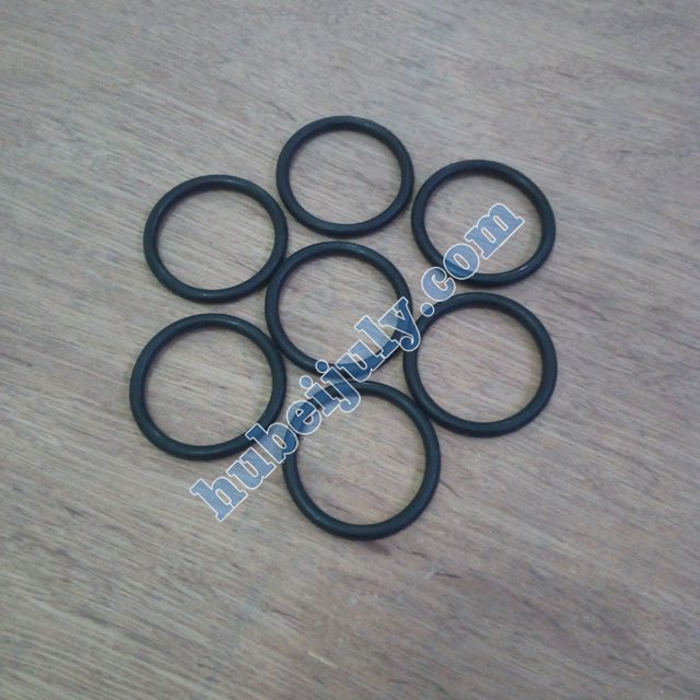 Cummins O ring 3035026
