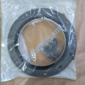 Cummins L10 Rear Crankshaft Seal 3800968