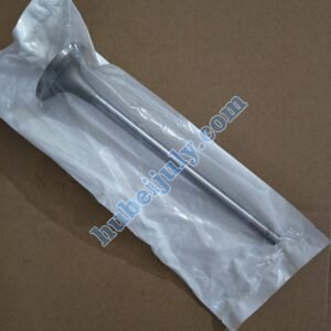 Cummins N14 Valve Inlet 3803360