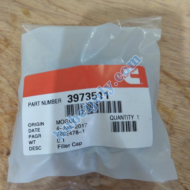 Cummins Cap Filter 3973511
