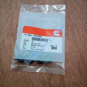Cummins Valve Oil Seal 4003966