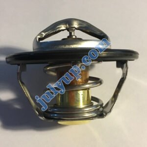 Cummins ISDe temperature Thermostat 5256423