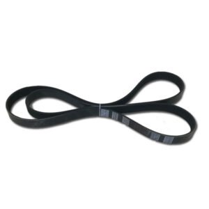 Foton Cummins ISF2.8 Belt 3972378