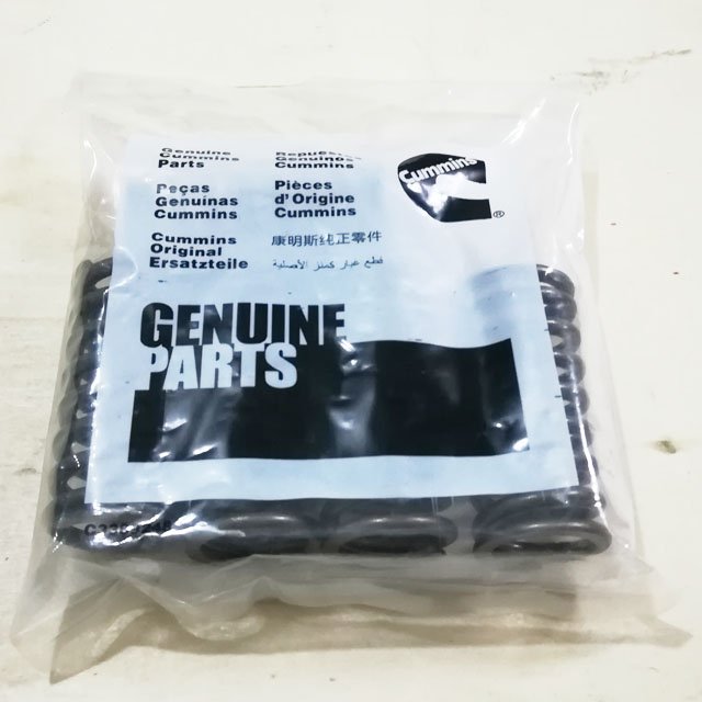 CCEC NT855 Valve Spring 211999