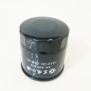 DFSK K17 Oil Filter 1012100-C03-00