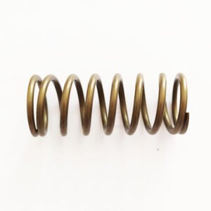 Weichai WP10 Valve inner spring 61500050001