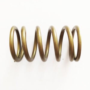 Weichai WP10 Valve Outer Spring 61500050002