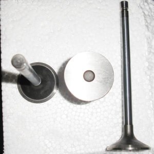 Dongfeng Truck Parts Inlet valve 3942588