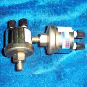 Dongfeng DFAC Light Truck Part Oil Pressure Sensor 3846N06-010