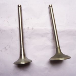 DCD Chaochai Intake valve, exhaust valve 4102.01.24-25