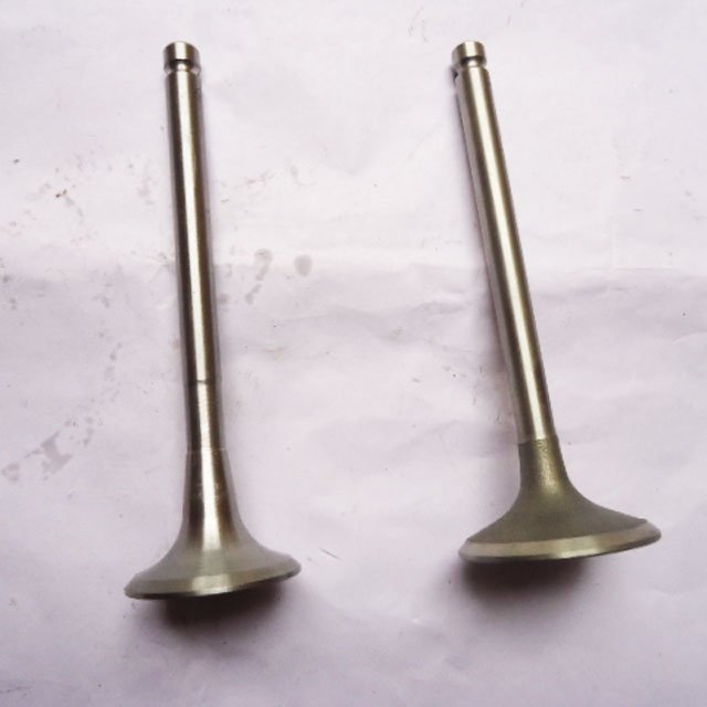 DCD Chaochai Intake valve, exhaust valve 4102.01.24-25