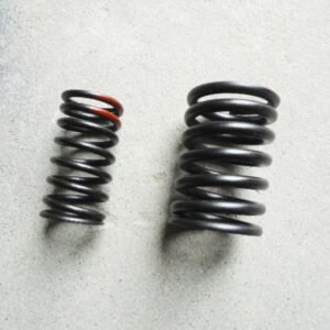 DCD Chaochai Valve spring inside and outside 6102.01.15