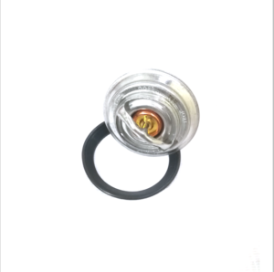 Dongfeng DFM Thermostat 5273379