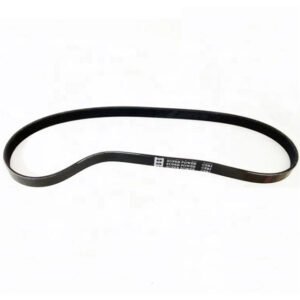 Cummins NT855 V Ribbed Belt 3076492