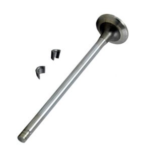 Cummins M11 Intake Valve 4955239